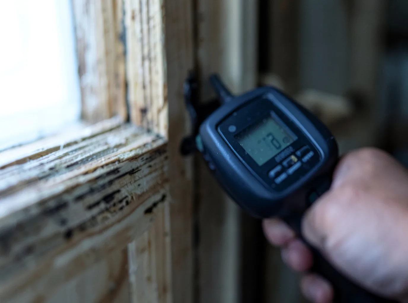 Moisture Inspection And Documentation in Lynn Center, IL